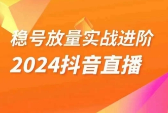 稳号放量实战进阶—2024抖音直播，直播间精细化运营的几大步骤-副业网