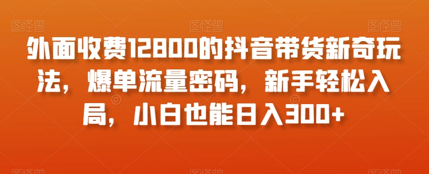 外面收费12800的抖音带货新奇玩法，爆单流量密码，新手轻松入局，小白也能日入300+【揭秘】-副业网