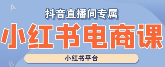 小红书电商高级运营课程，实操教学+案例分析-副业网