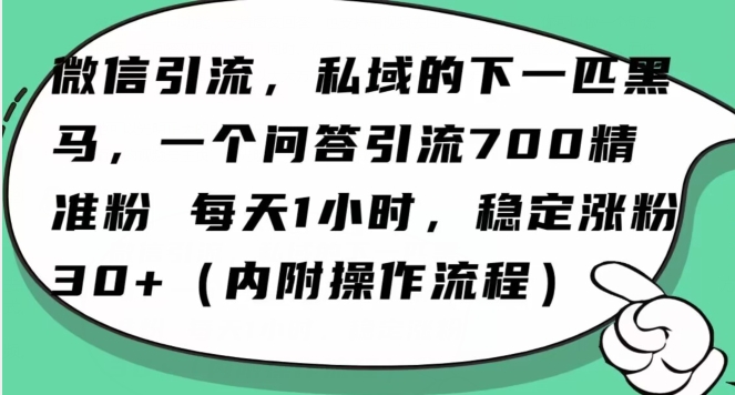 怎么搞精准创业粉？微信新赛道，每天一小时，利用Ai一个问答日引100精准粉-副业库