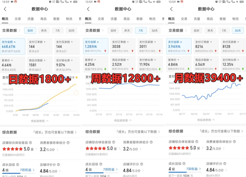 图片[2]-拼多多虚拟电商训练营月入30000+你也行，暴利稳定长久，副业首选-副业网