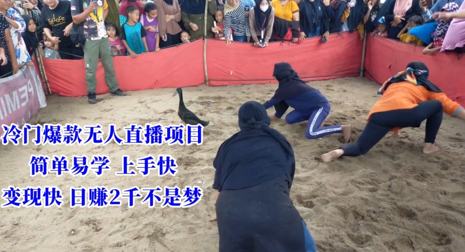 冷门爆款无人直播项目，简单易学上手快，变现快日赚2千不是梦-副业网