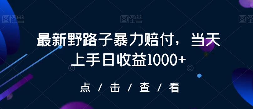 最新野路子暴力赔付，当天上手日收益1000+【仅揭秘】-副业网