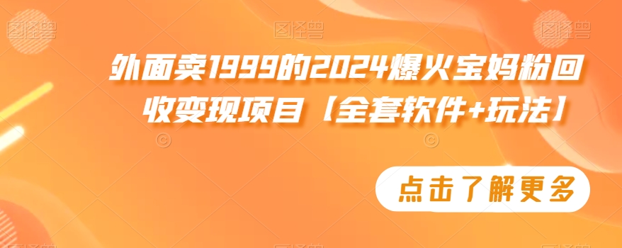 外面卖1999的2024爆火宝妈粉回收变现项目【全套软件+玩法】-副业网