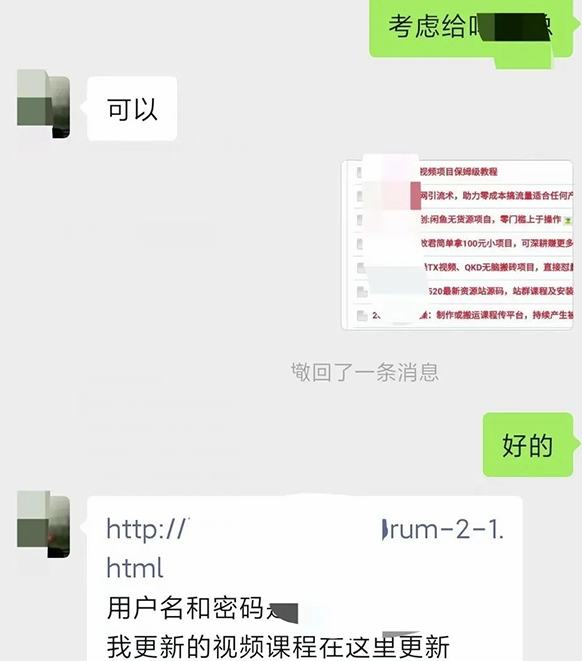 图片[2]-小彬网虚拟资源网站培训课程，如何一个月快速做出盈利的资源网站（实打实经验）-副业网