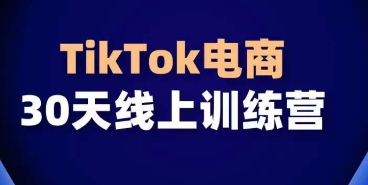 TikTok电商带货30天线上课，不可错过的全球流量洼地！-副业网