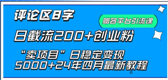 抖音评论区8字日截流200+创业粉 “卖项目”日稳定变现5000+-副业库