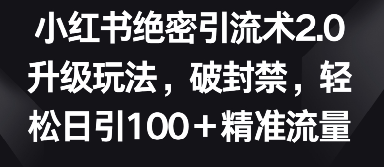 小红书绝密引流术2.0升级玩法，破封禁，轻松日引100+精准流量-副业库