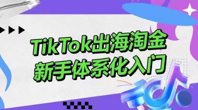 TikTok出海淘金，新手体系化入门，零基础快速入门，掌握短视频、直播带货等引流到变现的知识-副业网
