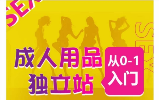 成人用品独立站从0-1入门，成品独立站运营全流程教学，七大好卖成品独立站推荐-副业库