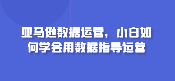 亚马逊数据运营，小白如何学会用数据指导运营-副业网