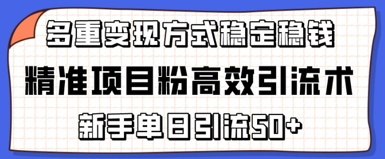 精准项目粉高效引流术，新手单日引流50+，多重变现方式稳定赚钱-副业网