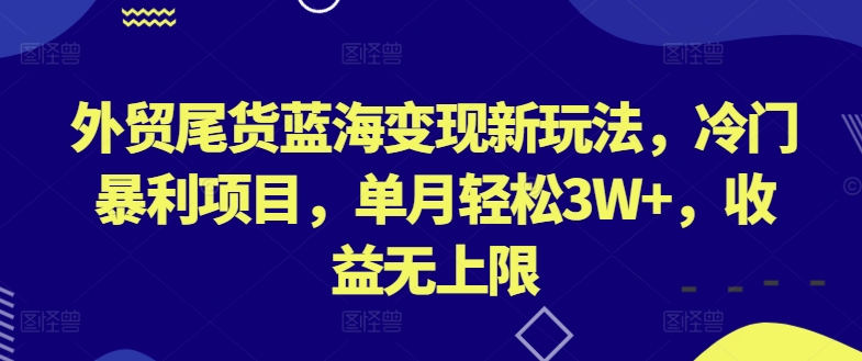 外贸尾货蓝海变现新玩法，冷门暴利项目，单月轻松3W+，收益无上限-副业网