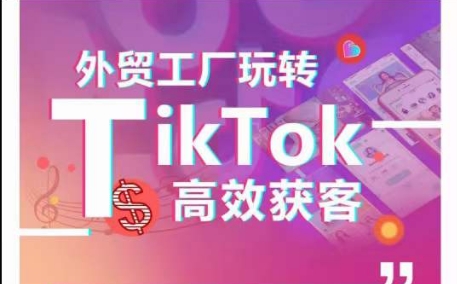 外贸工厂玩转TikTok高效获客，多种引流方式与账号定位技巧，拆解爆款短视频打造成功案例-副业网