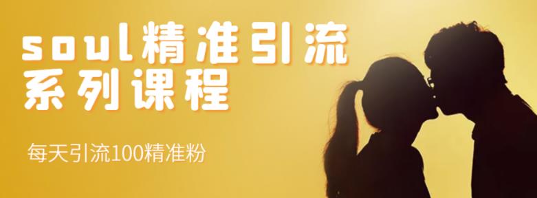 soul精准引流系列课程，每天引流100精准粉-副业网