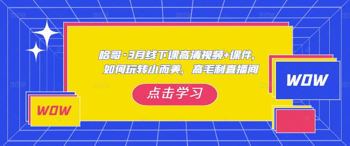 哈哥·3月线下实操课高清视频+课件，如何玩转小而美，高毛利直播间-副业网