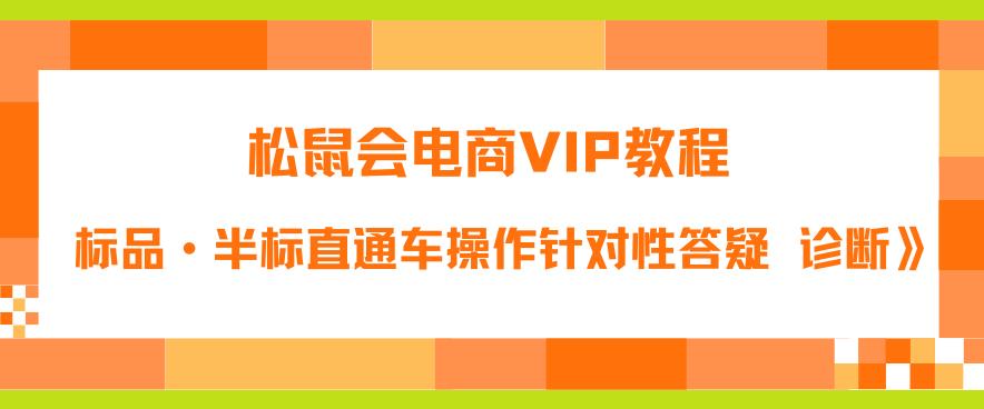 松鼠会电商VIP教程：松鼠《付费推广标品·半标直通车操作针对性答疑&诊断》-副业网