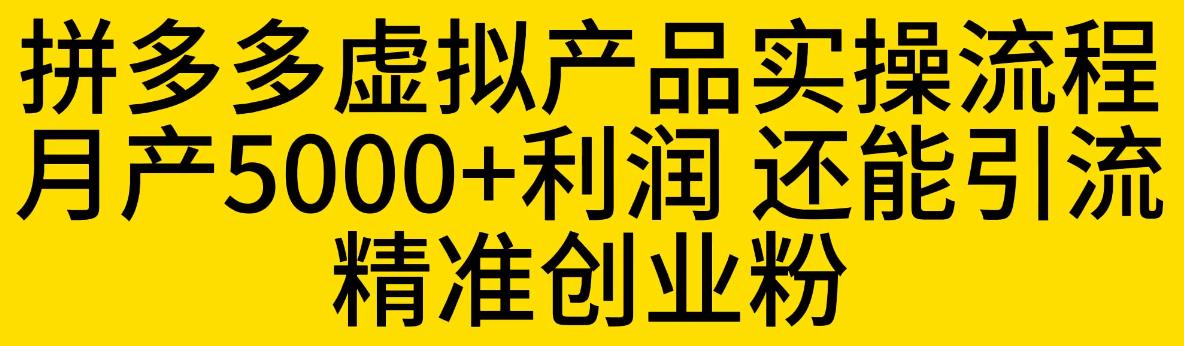 拼多多虚拟产品实操流程，月产5000+利润，还能引流精准创业粉【揭秘】-副业网