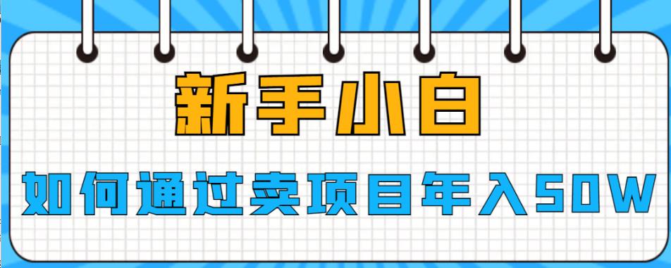 新手小白如何通过卖项目年入50W【揭秘】-副业网