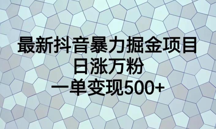 最新抖音暴力掘金项目，日涨万粉，一单变现500+【揭秘】-副业网