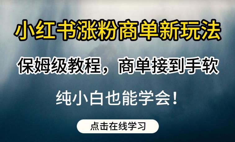 小红书涨粉商单新玩法，保姆级教程，商单接到手软，纯小白也能学会【揭秘】-副业库