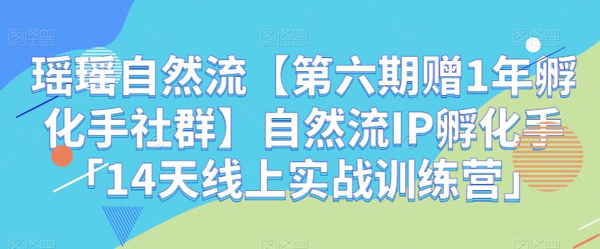 瑶瑶自然流【第六期赠1年孵化手社群】自然流IP孵化手「14天线上实战训练营」-副业网