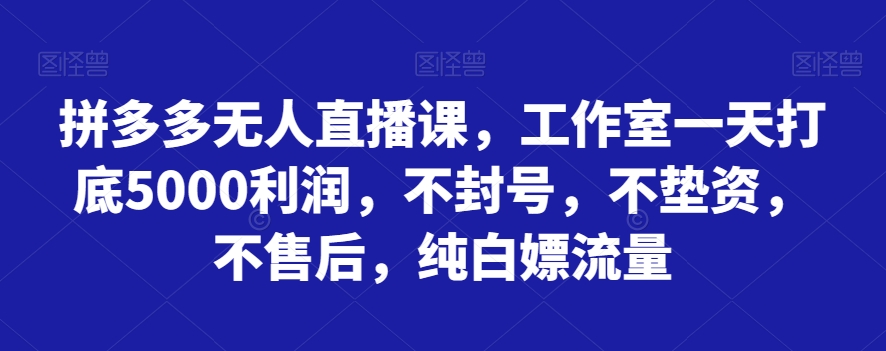 拼多多无人直播课，工作室一天打底5000利润，不封号，不垫资，不售后，纯白嫖流量-副业库