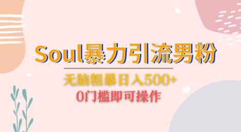 Soul暴力引流男粉玩法，无脑粗暴日入500＋，0门槛即可操作【揭秘】-副业网
