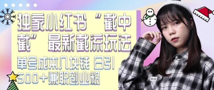 最新小红书截流玩法 独家截中截 单号成本几块钱 日引500+CY粉JZ粉-副业网