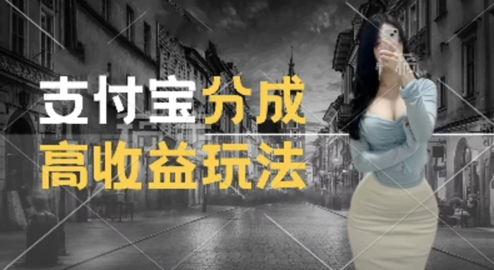 支付宝分成计划新玩法，利用交通事故视频，赚收益，轻松月入过W，操作简单-副业网