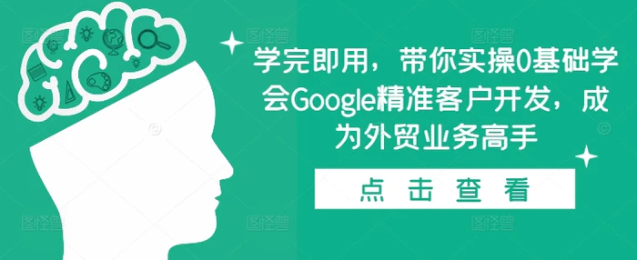 学完即用，带你实操0基础学会Google精准客户开发，成为外贸业务高手-副业网