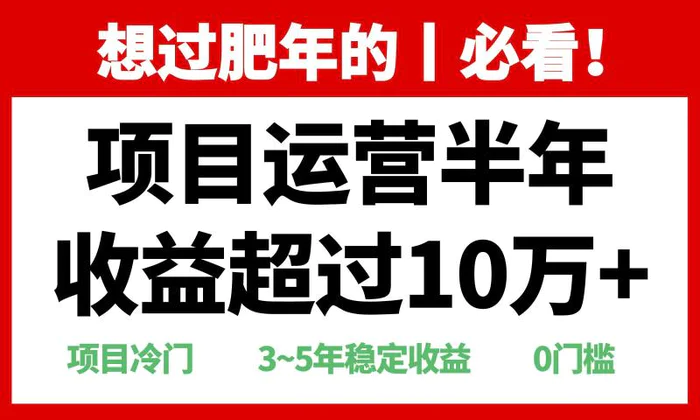 （13663期）年前过肥年的必看的超冷门项目，半年收益超过10万+，-副业网