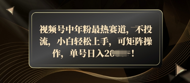 视频号中年粉最热赛道，不投流，小白轻松上手，可矩阵操作-副业网