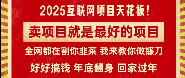 卖项目就是最好的项目，2025年互联网项目天花板-副业网