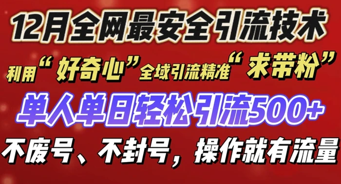 12 月份全网最安全引流创业粉技术来袭，不封号不废号，有操作就有流量-副业网