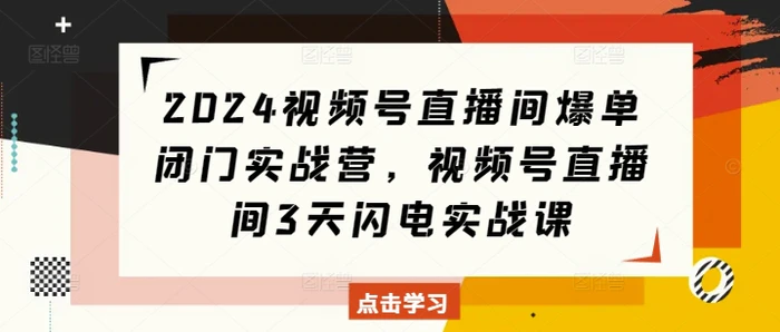 2024视频号直播间爆单闭门实战营，视频号直播间3天闪电实战课-副业网