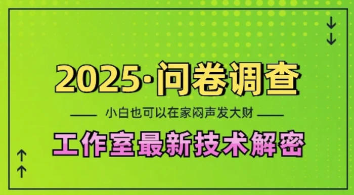 2025问卷调查最新工作室技术解密：一个人在家也可以闷声发大财，小白一天2张，可矩阵放大-副业网