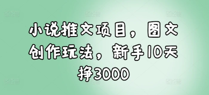 小说推文项目，图文创作玩法，新手10天挣3000-副业库
