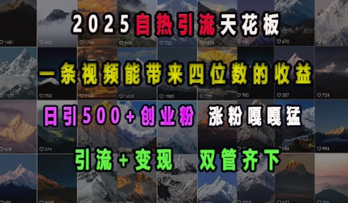 2025自热引流天花板，一条视频能带来四位数的收益，引流+变现双管齐下，日引500+创业粉，涨粉嘎嘎猛-副业网