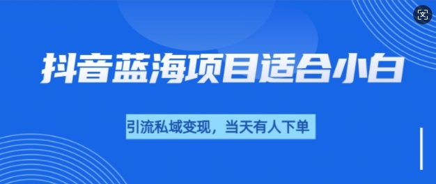 抖音蓝海小赛道私域变现项目，单价9.9单天变现100+，实操玩法分享给你-副业网