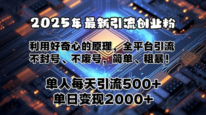 2025年最新引流创业粉，利用好奇心的原理，全平台引流，不封号、不废号，简单、粗暴-副业网