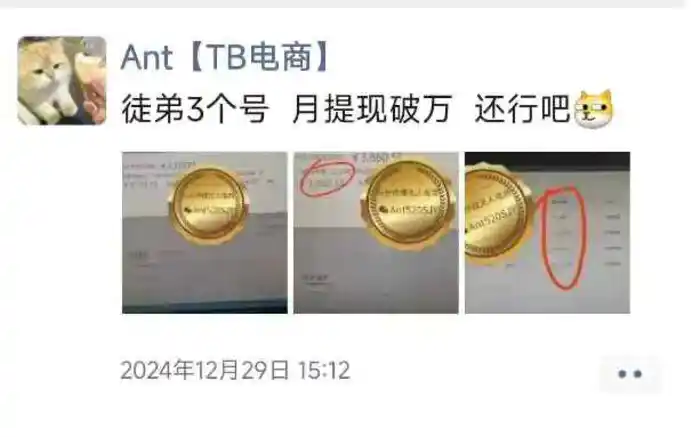 图片[2]-淘宝无人直播带货项目，纯无人挂JI，一台电脑，无需看管，开播即变现，低门槛 高收入-副业网