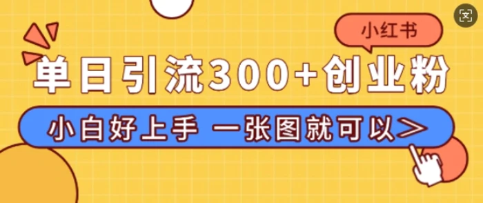 小红书单日引流300+创业粉，“简单粗暴”引流法，小白好上手，私信回不完-副业网