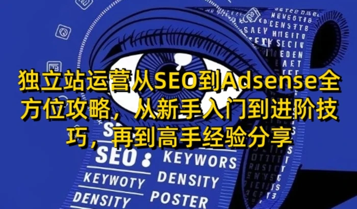 独立站运营从SEO到Adsense全方位攻略，从新手入门到进阶技巧，再到高手经验分享-副业网