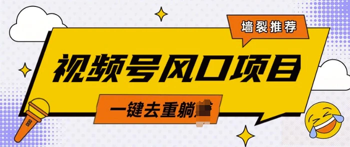 视频号风口蓝海项目，中老年人的流量密码，简单无脑，一键去重，轻松月入过W-副业网
