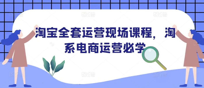 淘宝全套运营现场课程，淘系电商运营必学-副业网