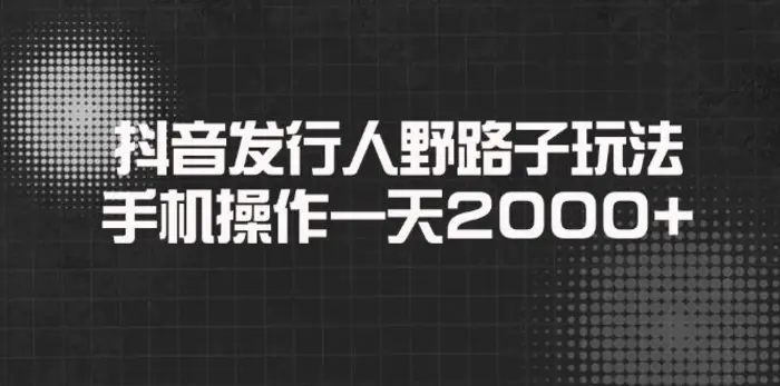 （14068期）抖音发行人野路子玩法，手机操作一天2000+-副业库
