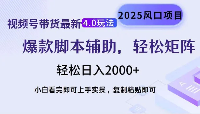 （14071期）视频号带货最新4.0玩法，作品制作简单，当天起号，复制粘贴，轻松矩阵…-副业网