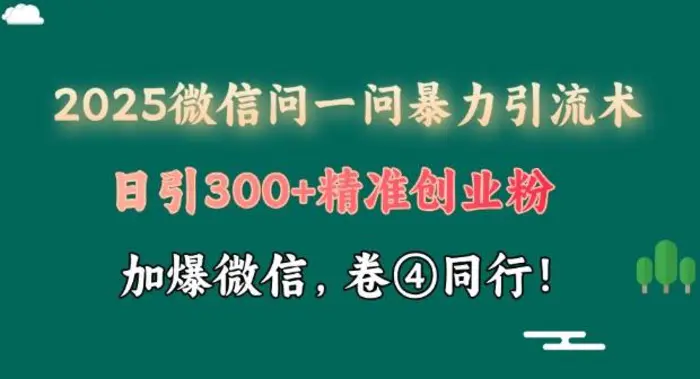 2025最新微信问一问暴力引流术揭秘，日引300+创业粉，单日变现四位数-副业库