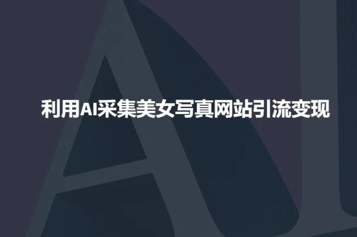 利用AI采集美女写真网站引流变现，引流嘎嘎的-副业网